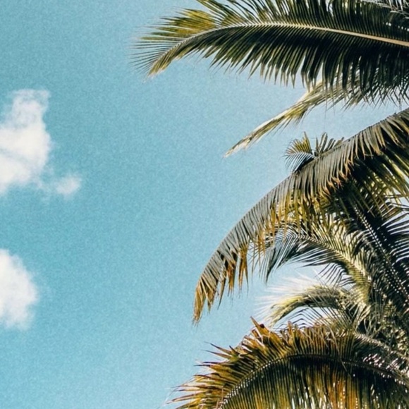 Meet your Posher, Bree - Picture 2 of 2